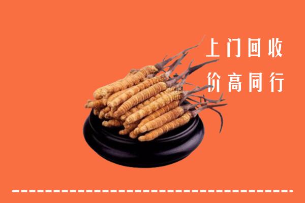 高价求购：汤阴县回收散虫草