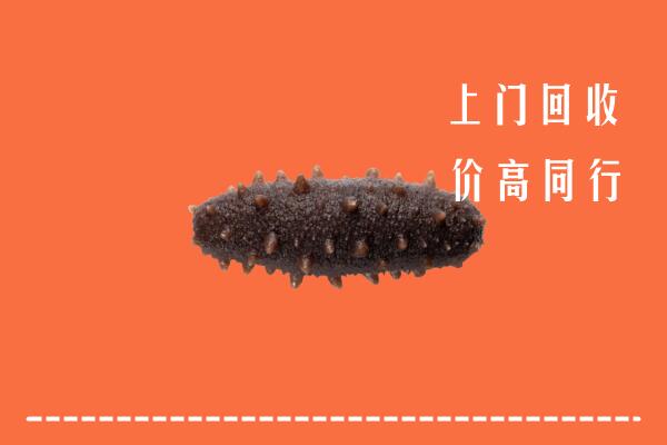 高价求购：汤阴县回收海参
