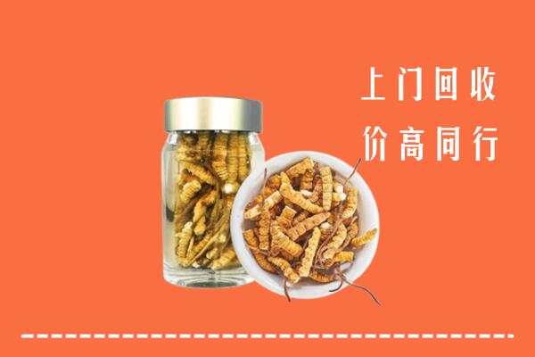 汤阴县回收冬虫夏草